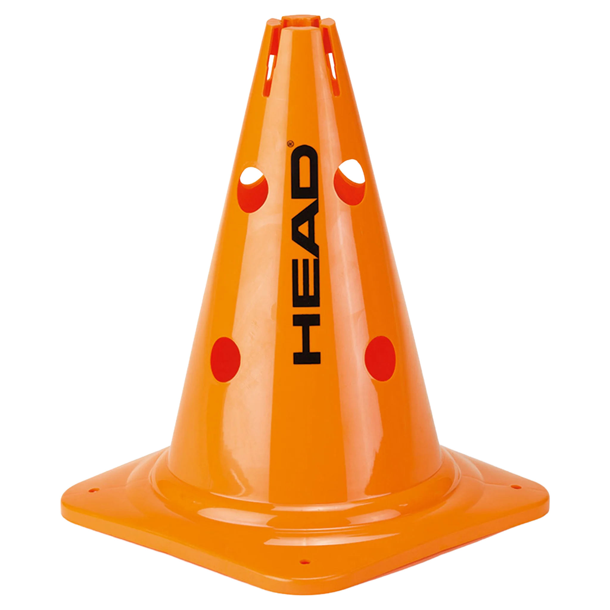 Head 6 Big Cones