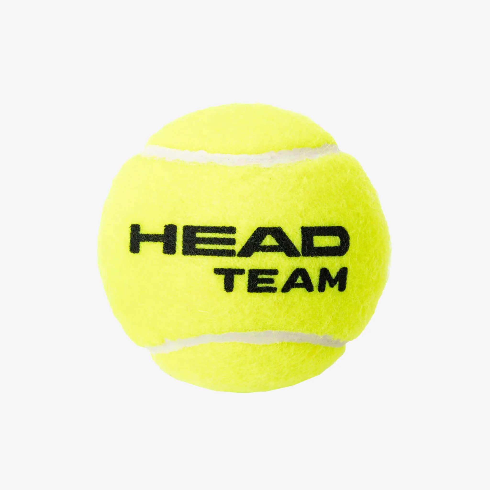 Head Team - Image 4